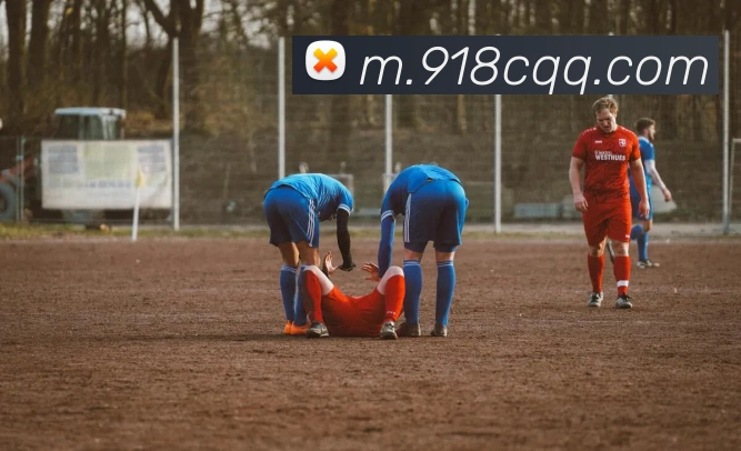 App界面
